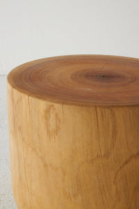 CAMPHOR TREE STOOL A